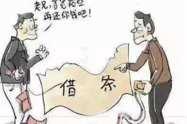 许昌为什么选择专业追讨公司来处理您的债务纠纷？